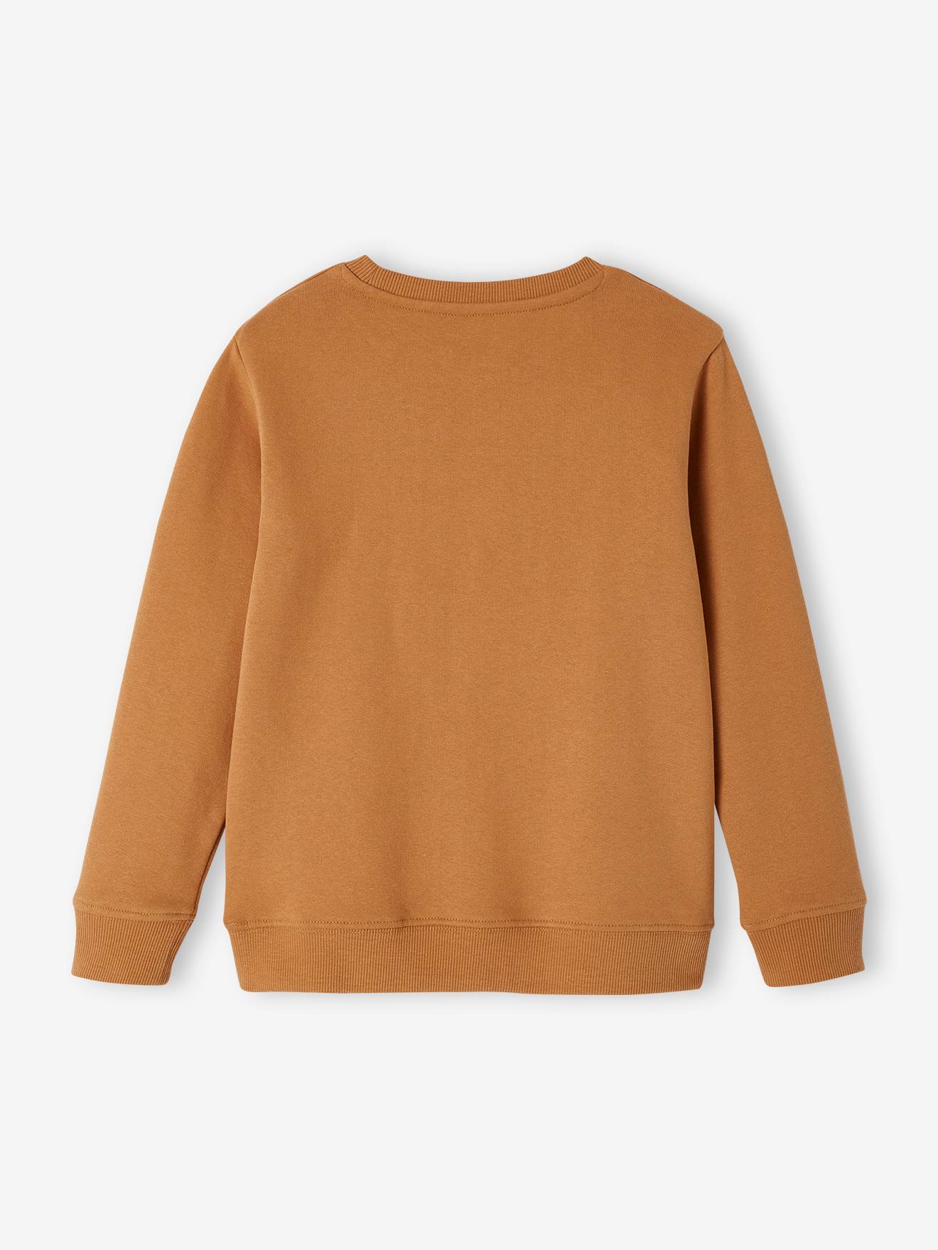 https://kids-avenue.com.ua/pages/gallery/6526/sweat-basics-motifs-graphiques-garcon (11).jpg